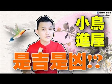 麻雀進屋|【麻雀進屋什麼意思】麻雀進宅，吉兆還是凶兆？揭秘麻雀進屋背。